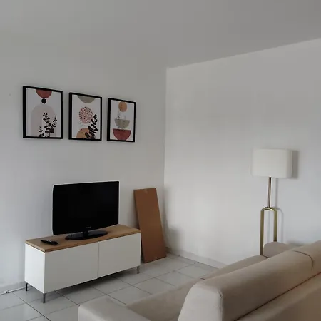 Appartement Climatise Avec Parking A Albi Exterior photo