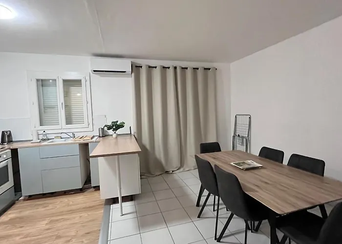 Appartement Climatise Avec Parking A Albi